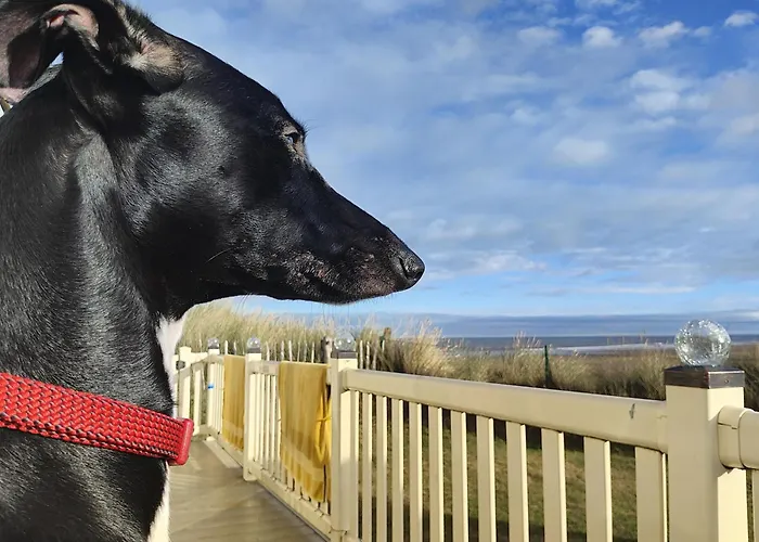 Holiday home Sands Retreat Redcar